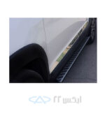 door-catgut2